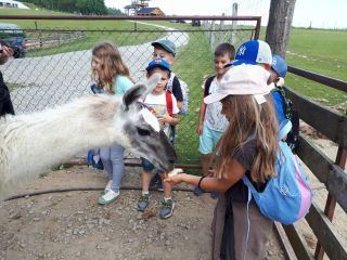 20220609_124504_resized